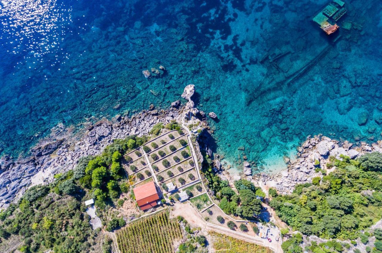 Sea Edge Villa *