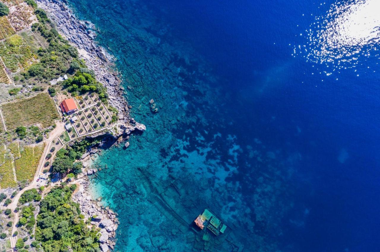 Villa Sea Edge *